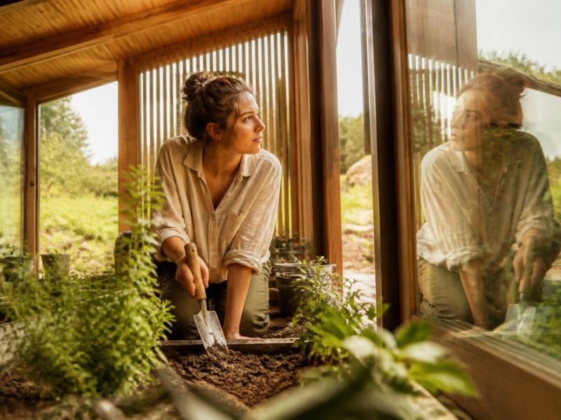 Smart Landscaping Essentials: Practical Home Garden Upgrades for Every Season