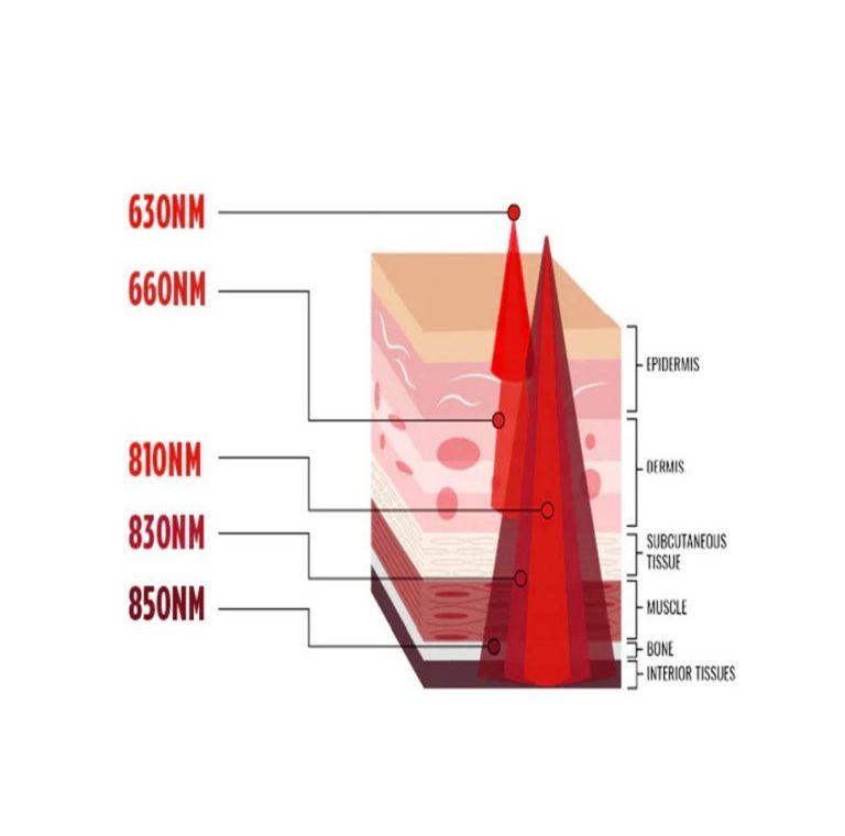 Can Infrared Beds Speed Up Recovery — A User-Focused Look